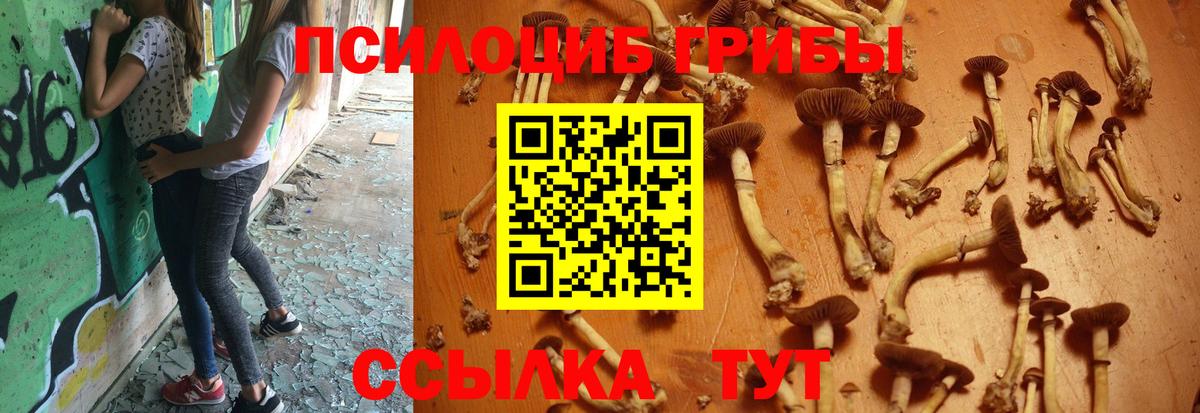 Галлюциногенные грибы ЛСД Ангарск
